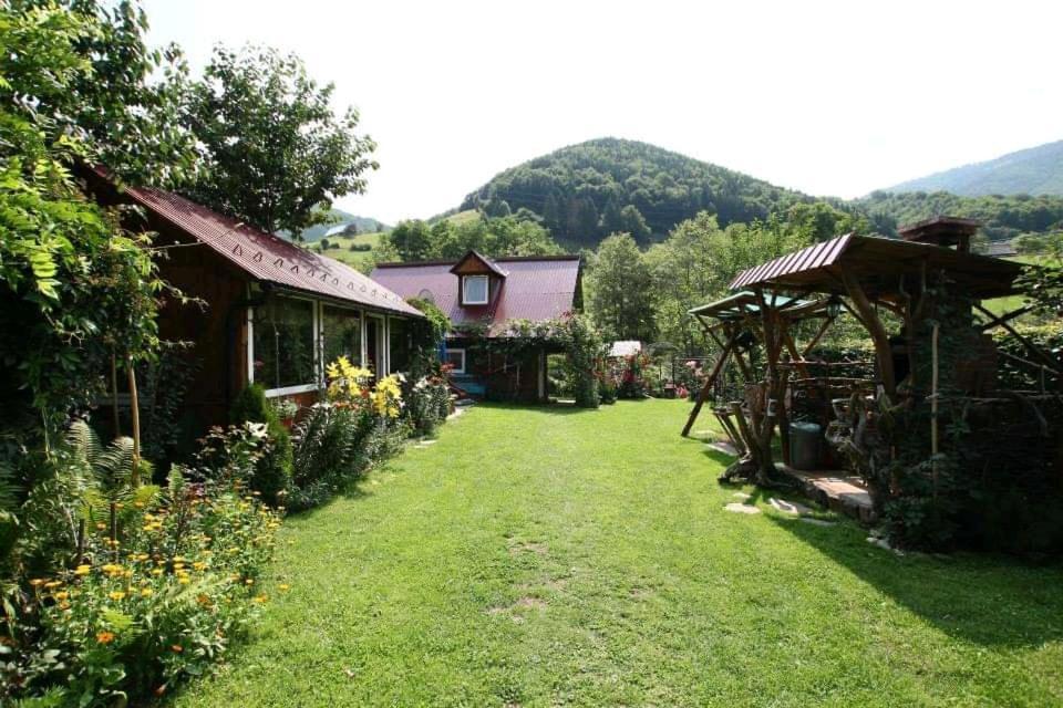 Casa de vacanta Vidrighin Rau Sadului Exterior foto