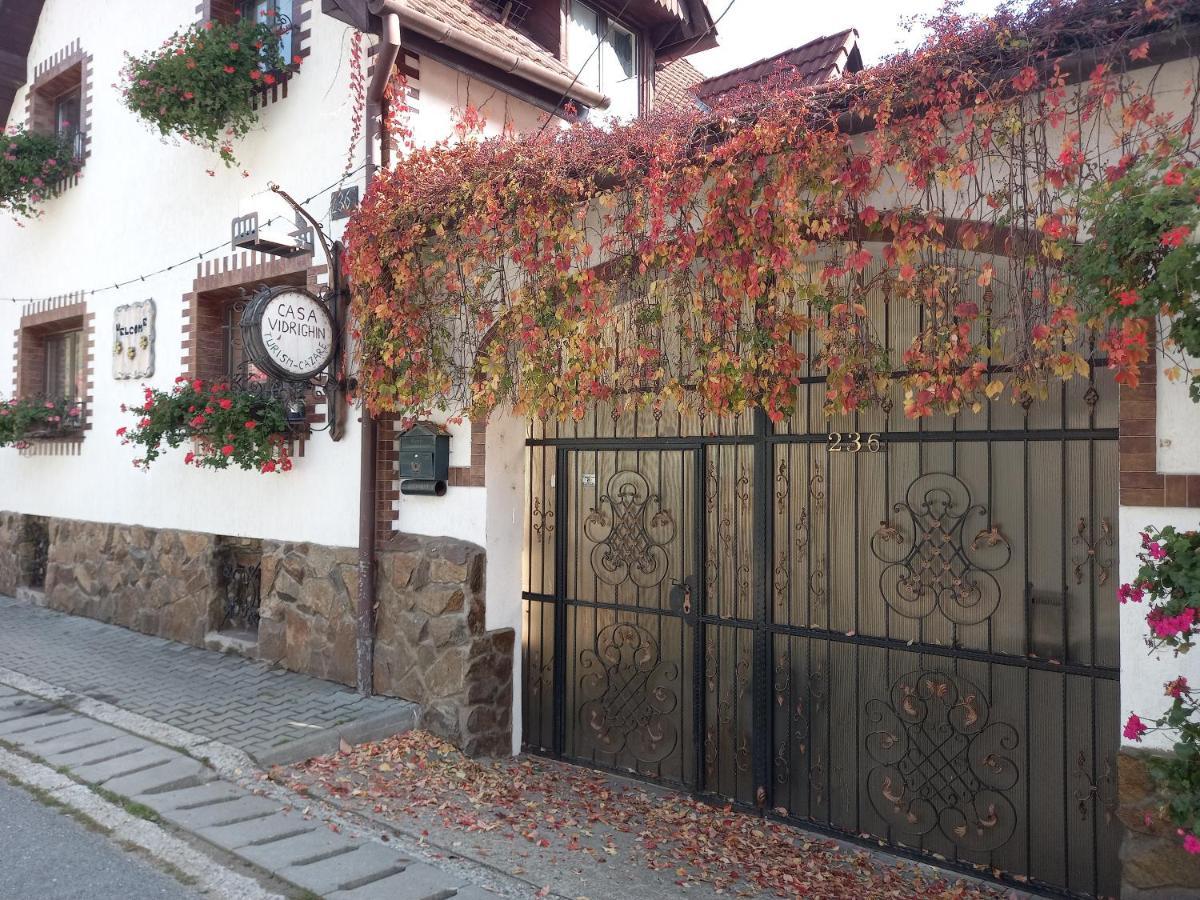 Casa de vacanta Vidrighin Rau Sadului Exterior foto
