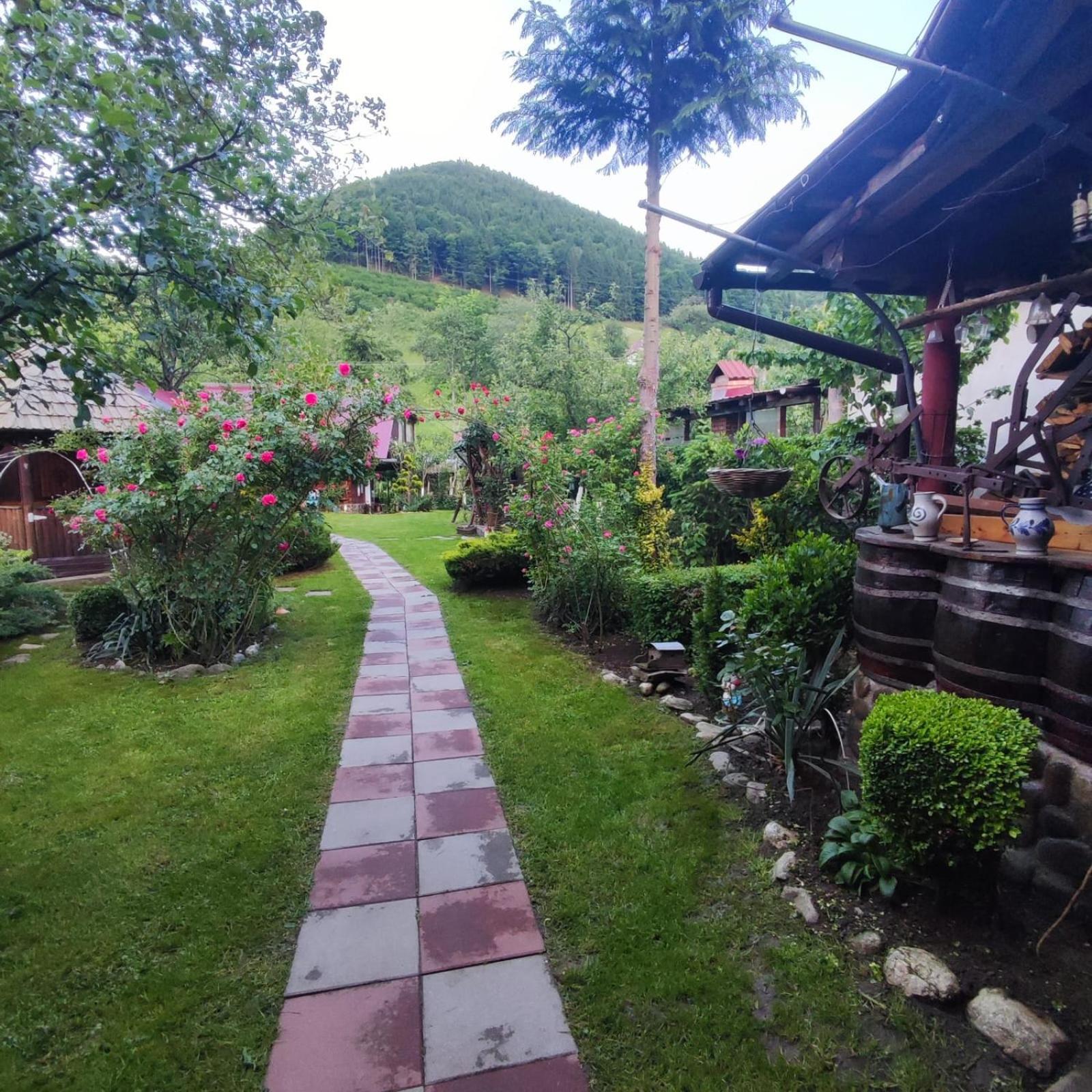 Casa de vacanta Vidrighin Rau Sadului Habitación foto