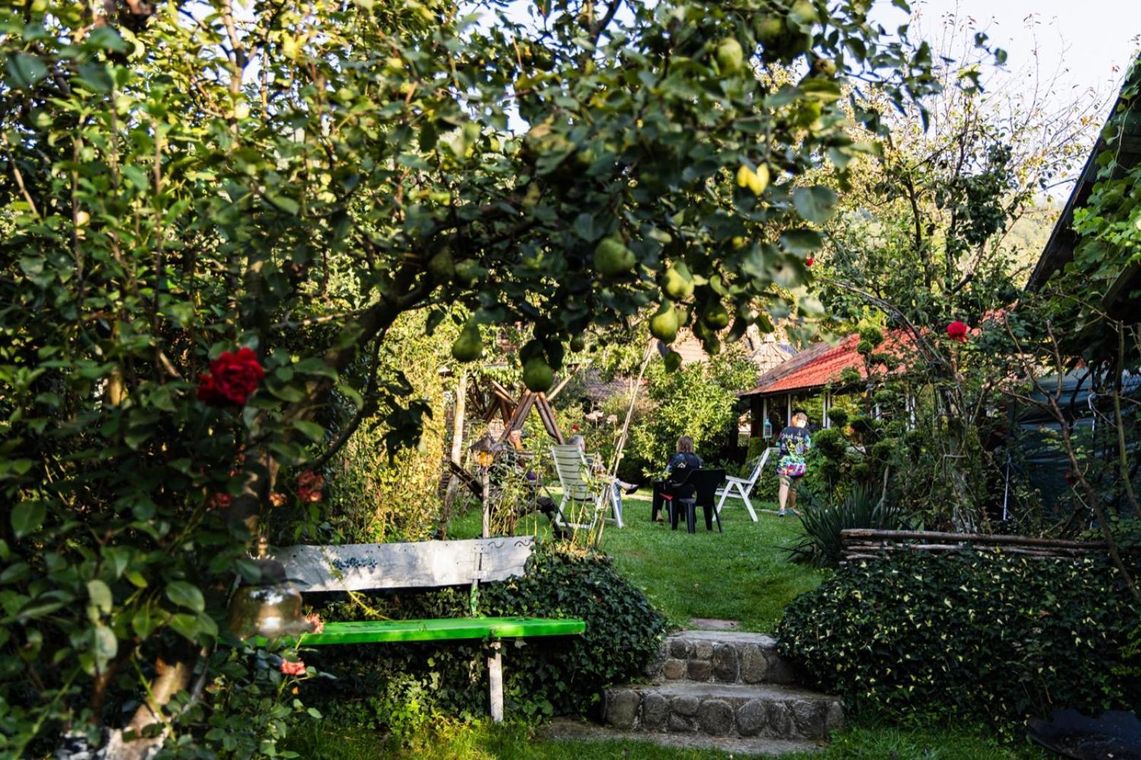 Casa de vacanta Vidrighin Rau Sadului Habitación foto