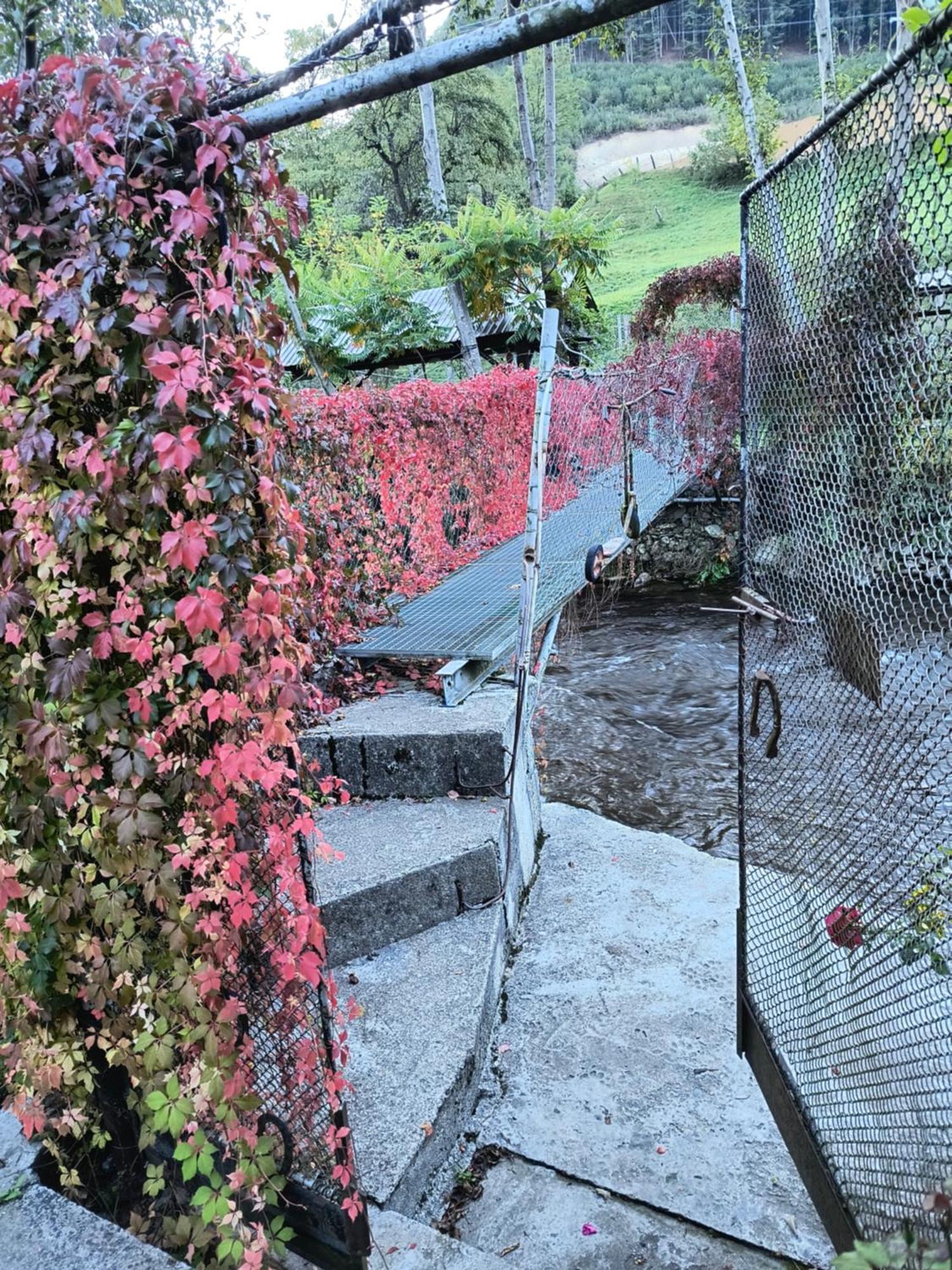 Casa de vacanta Vidrighin Rau Sadului Habitación foto
