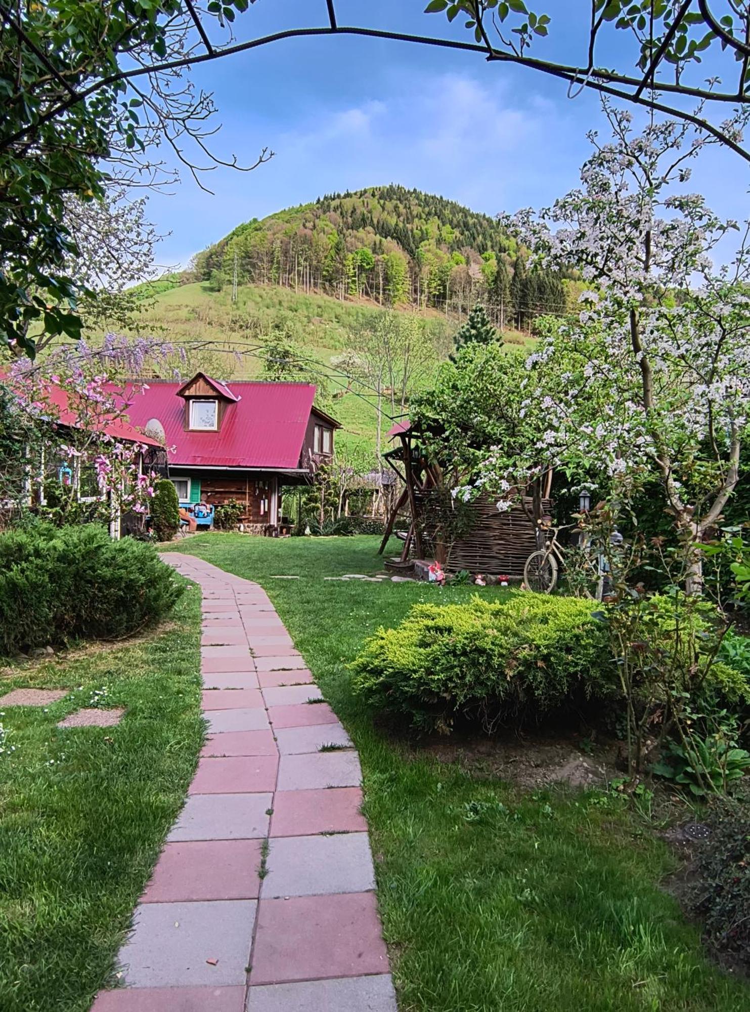 Casa de vacanta Vidrighin Rau Sadului Exterior foto